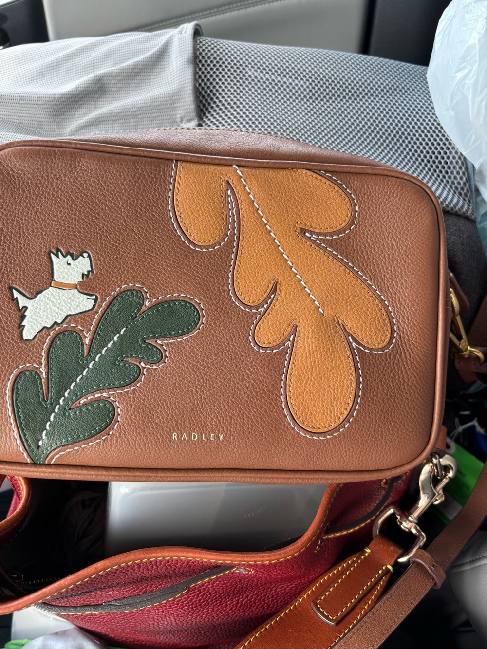 Brown Leather Crossbody Bag with Autumn Leaf Appliqué by Radley London